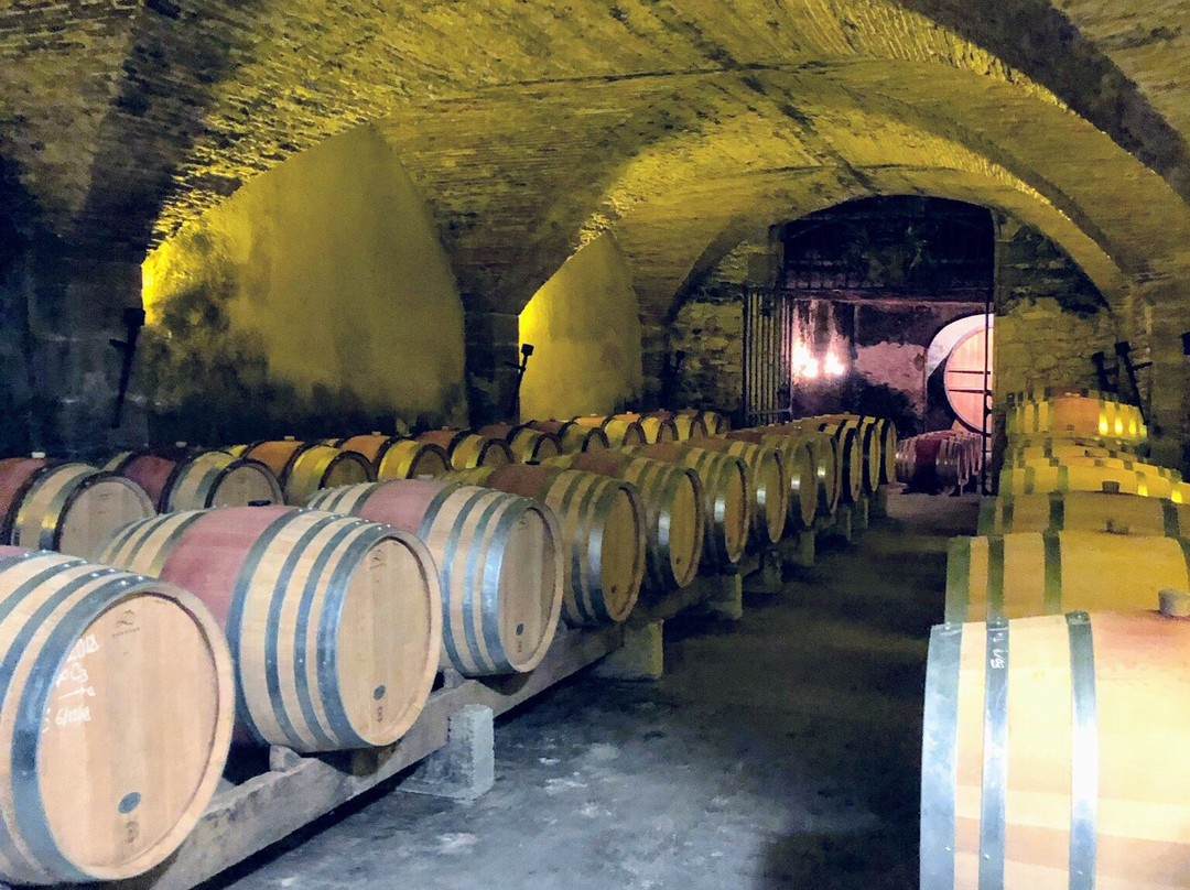 Provence and Wine景点图片