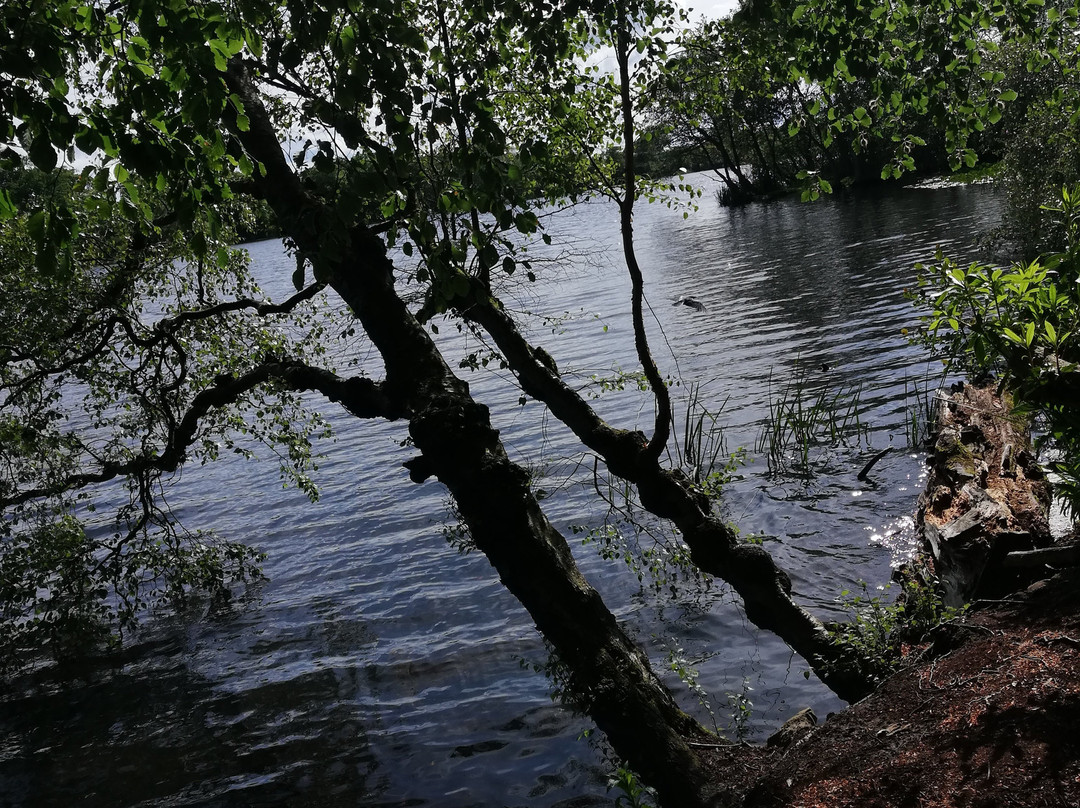 Bolam Lake Country Park-Belsay必去景点