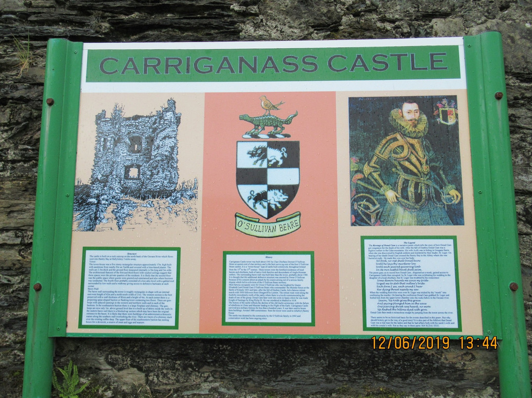 Carriganass Castle-Kealkill必去景点