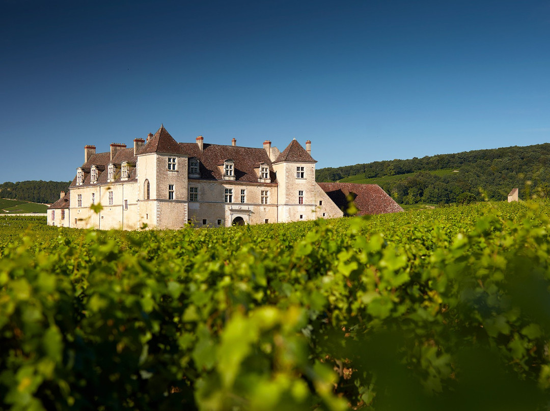 Château du Clos de Vougeot景点图片