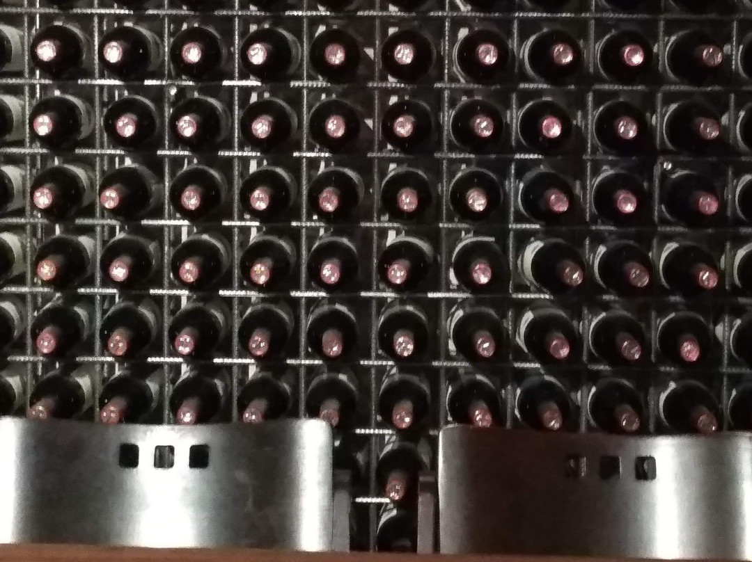 Israel Wine Journeys-Beit Shemesh必去景点