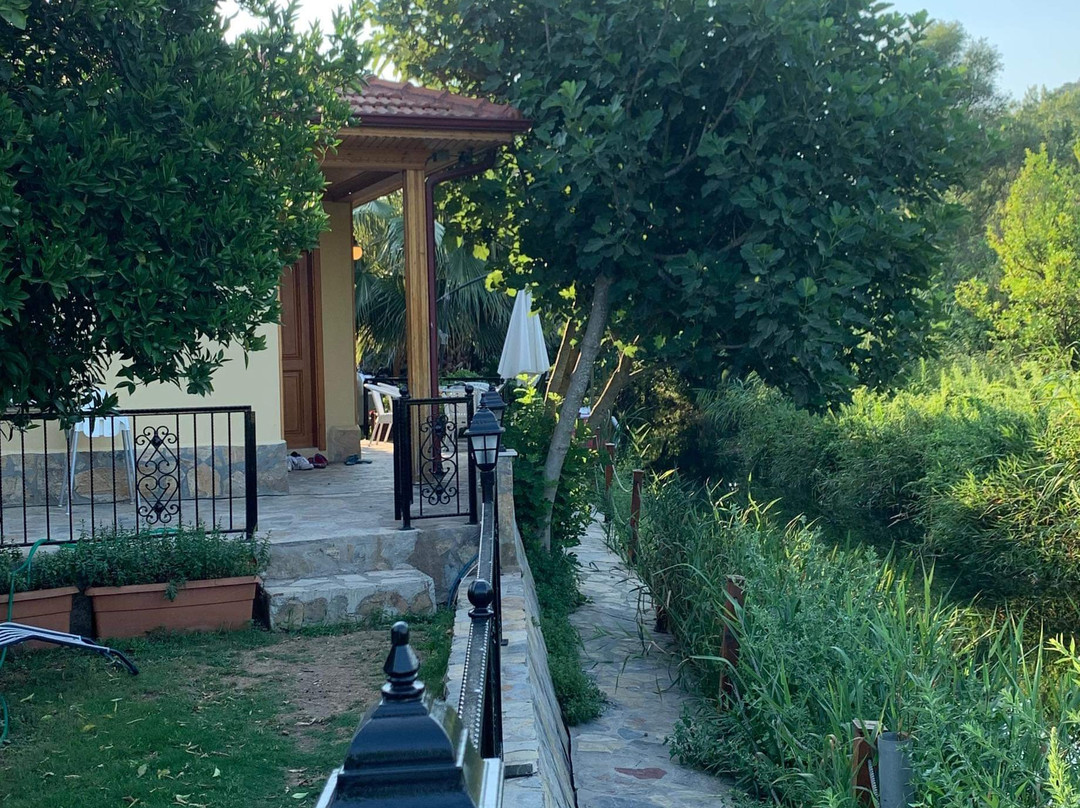 Three Palms Suites主图