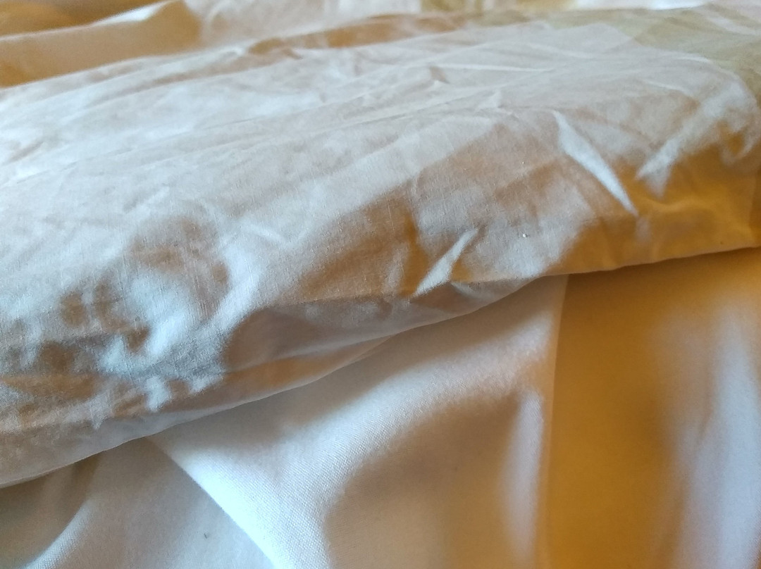 欧弗兰帕克万豪酒店主图