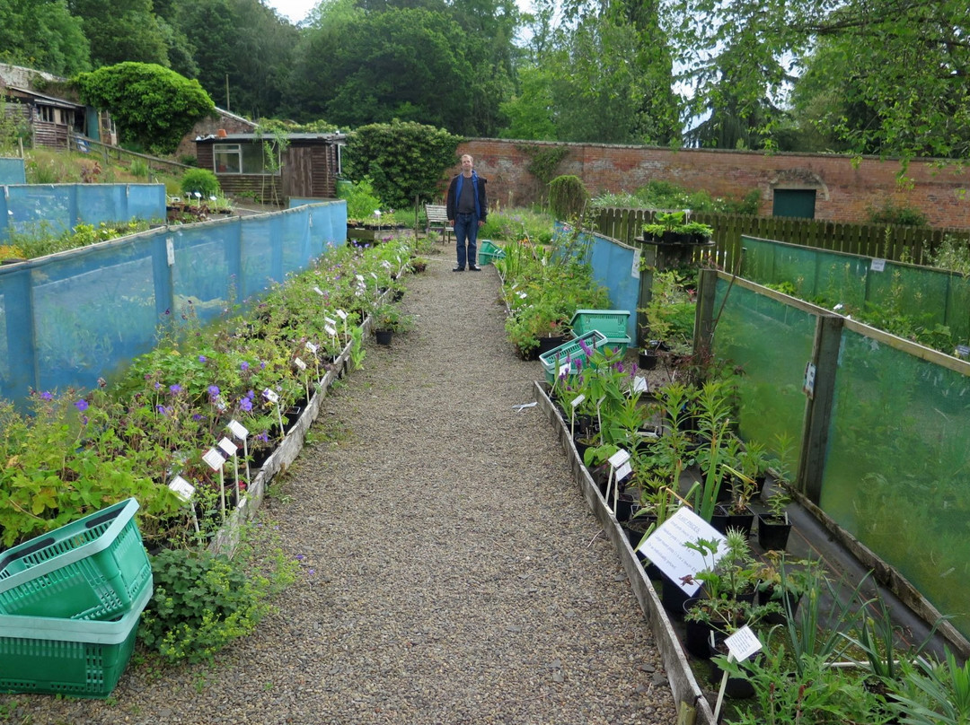 Chipchase Castle Nursery景点图片