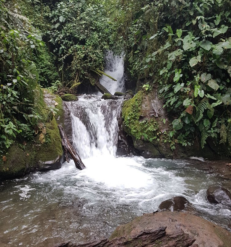 Minjoy Park-明多必去景点