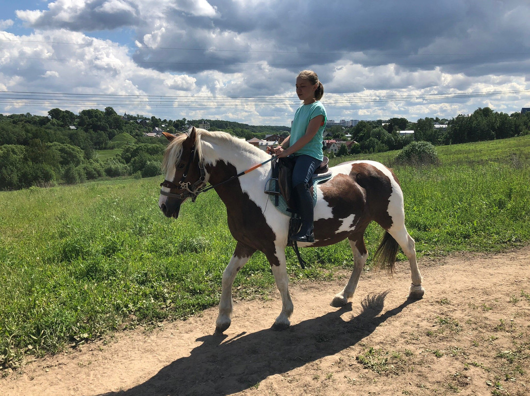 Horse Riding Club Fortuna景点图片