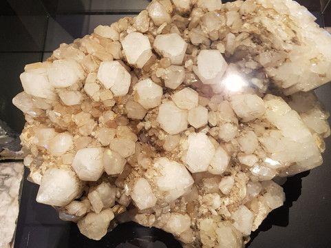 Urweltmuseum-拜罗伊特必去景点