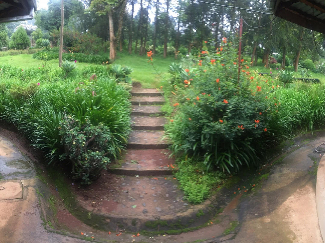 Kafa Development Association Guesthouse主图