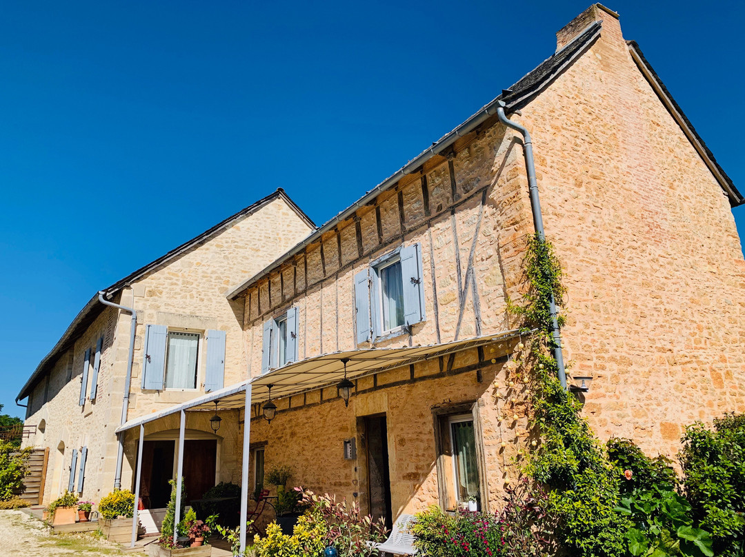 La Maison De Leopold主图