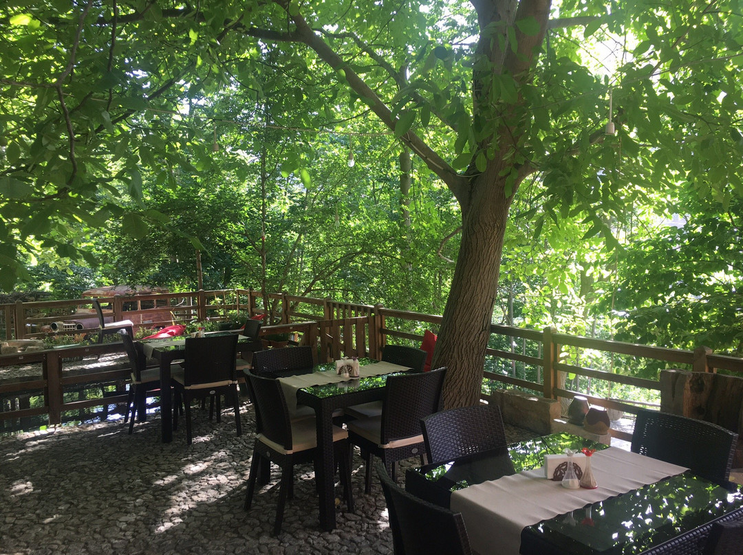 Divrigi酒店住宿-Egin Konagi