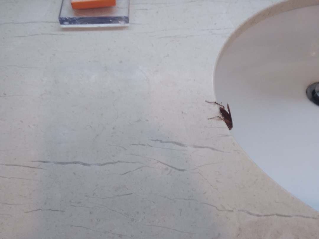 派拉蒙广场套房酒店主图