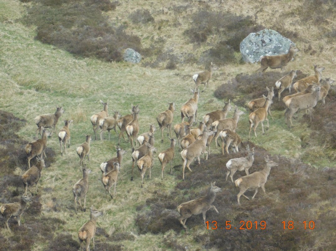 Highland Exploration-Kinloch Rannoch必去景点