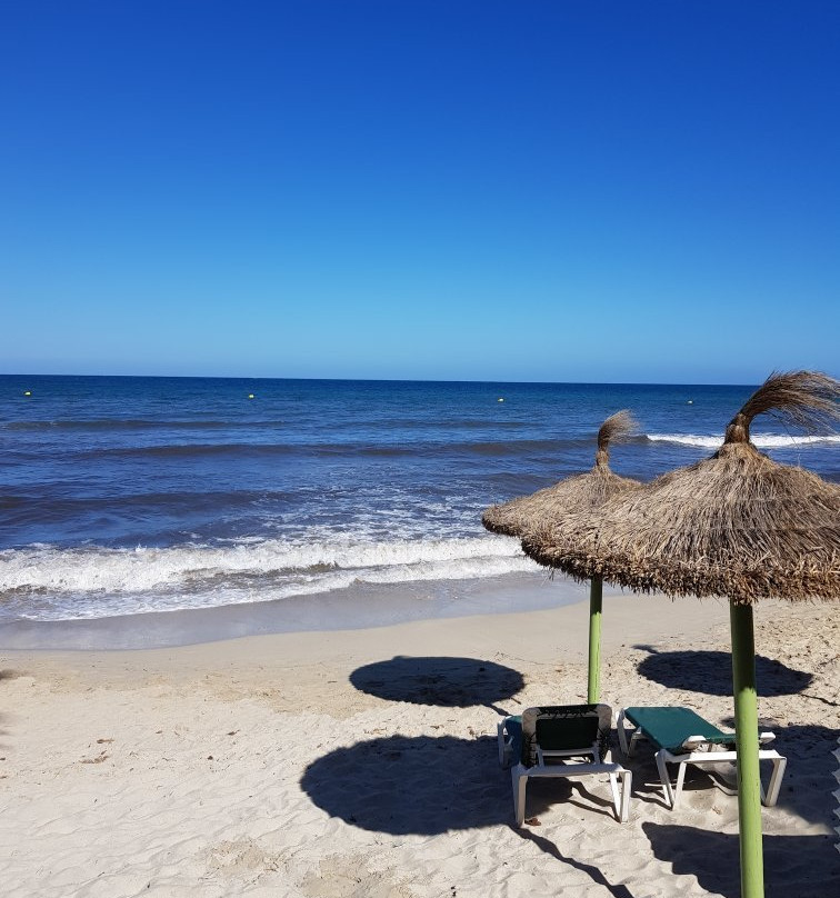Playa de Sa Coma景点图片