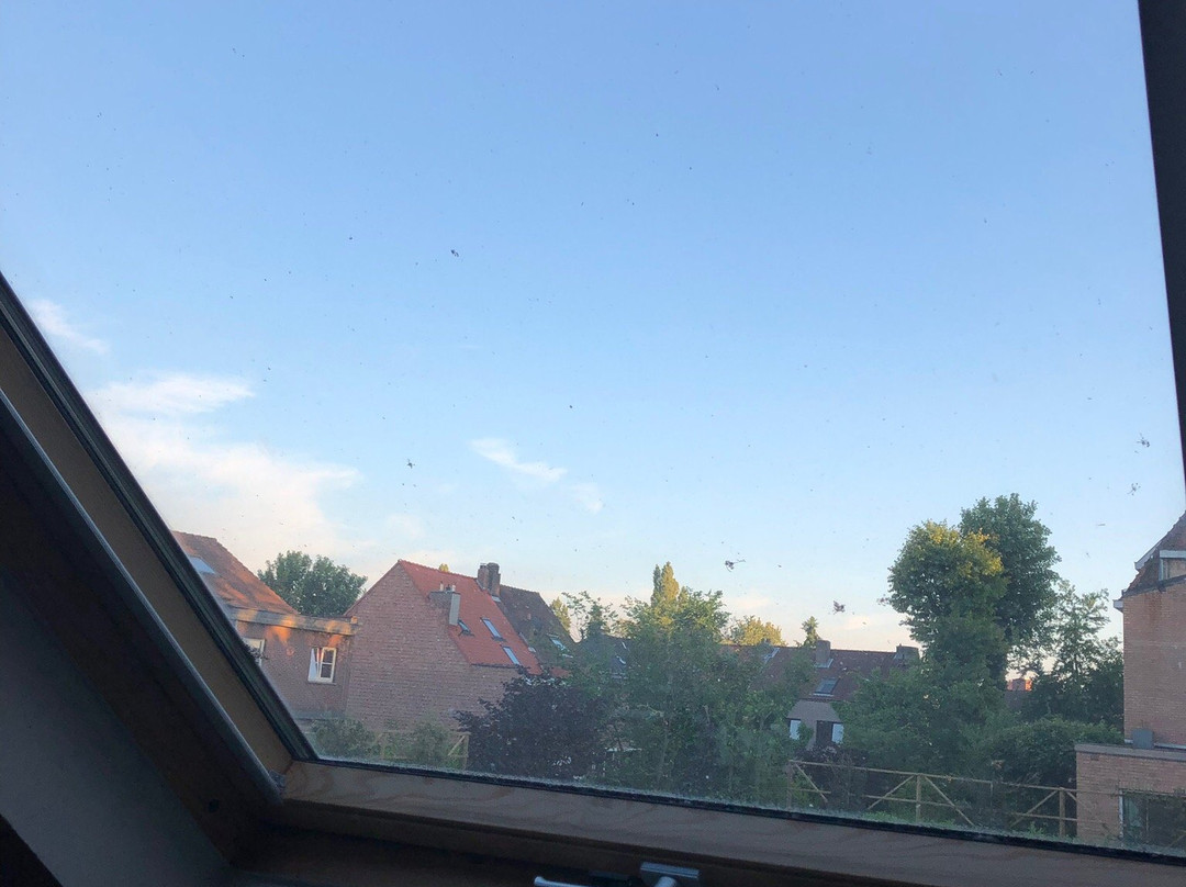 Casa Terlinden主图