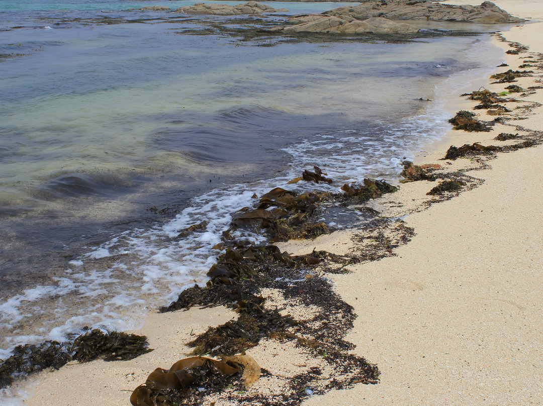 Mannin Bay Blueway景点图片