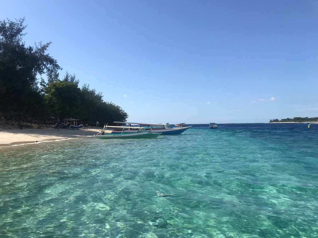 Bliputu Fast Boat景点图片