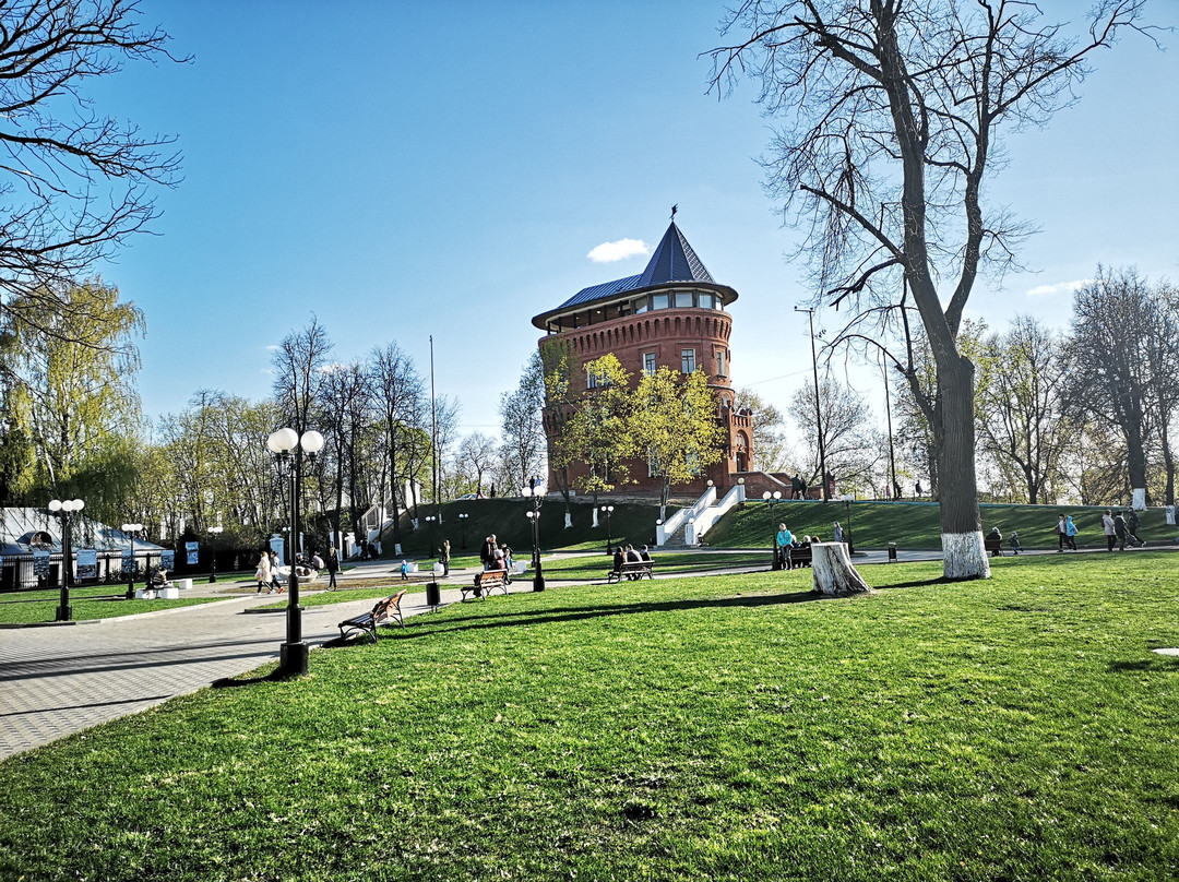 Monument to Vladimir Cherry景点图片