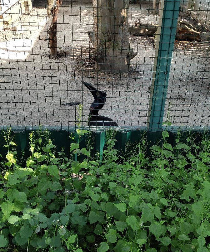 The Kiev Zoo景点图片