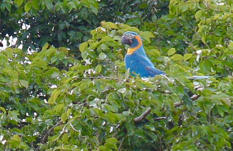 Barba Azul Nature Reserve景点图片