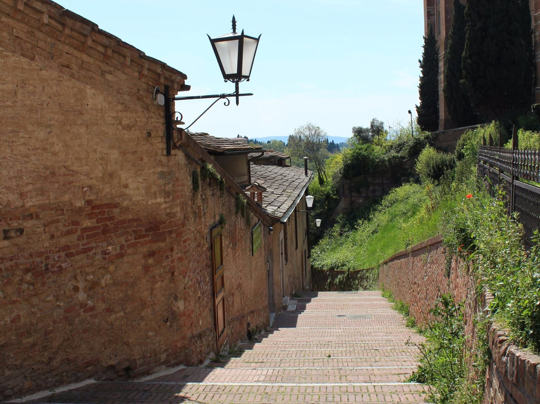 Siena Walking Tours - Private Guided Tours with Costanza景点图片