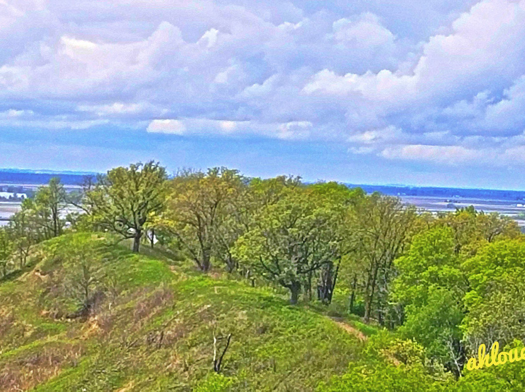 Hitchcock Nature Center-Honey Creek必去景点