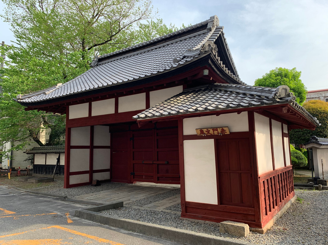 Iida Castle Sakuramarugomon景点图片