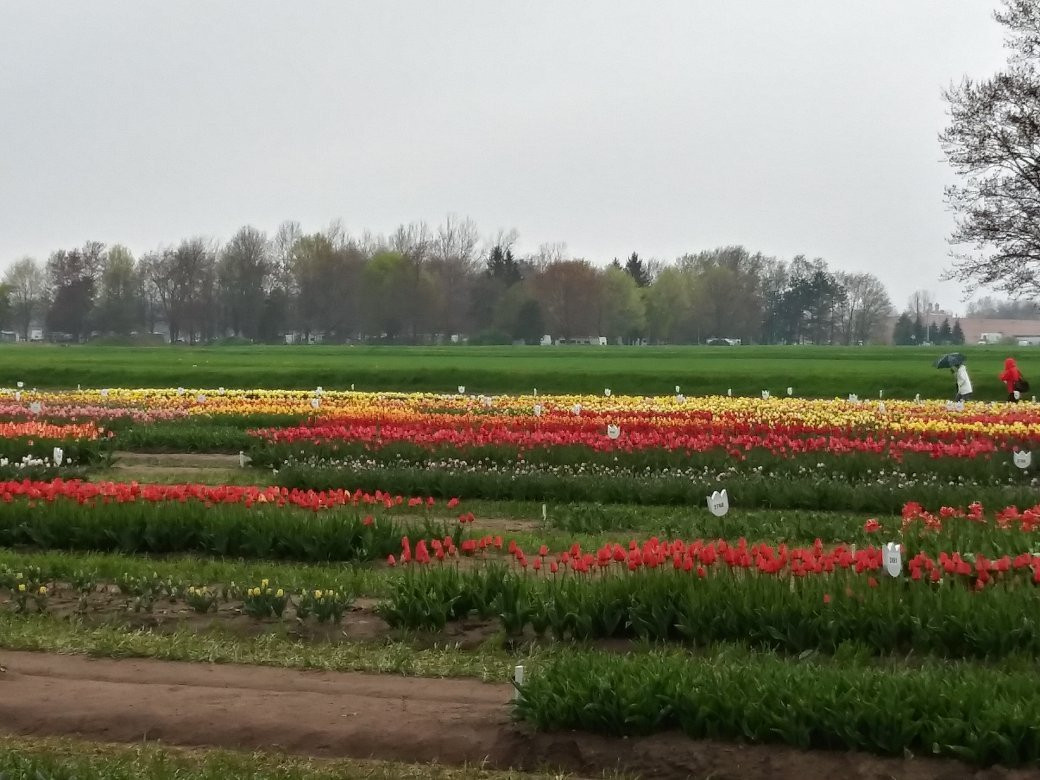 Van Raalte Farm-荷兰村必去景点