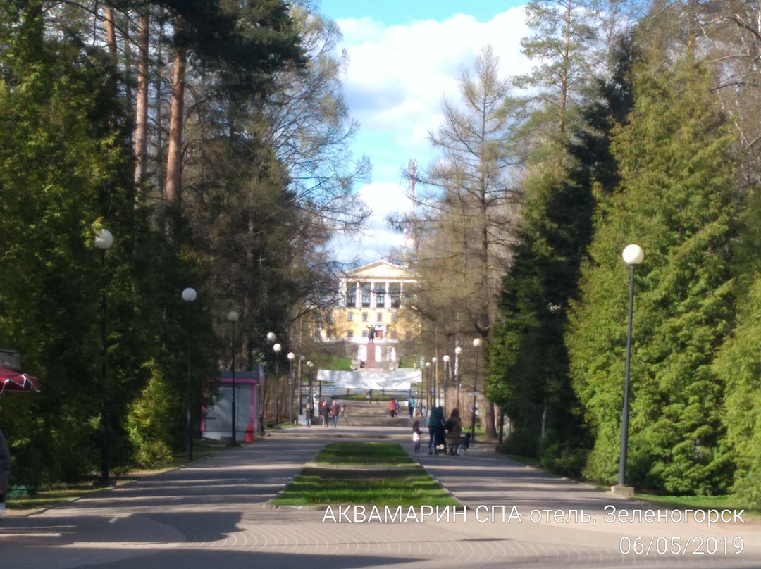 Zelenogorsk Recreation Park景点图片