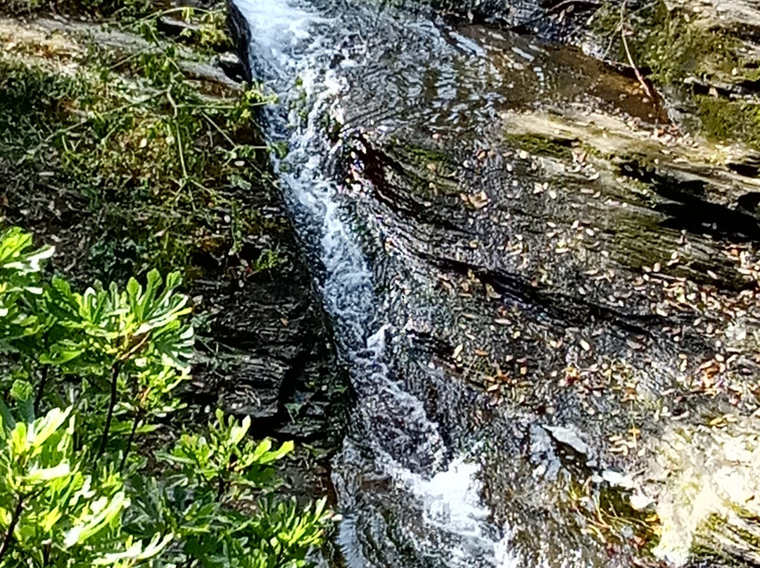 Paradisi旅游攻略图片