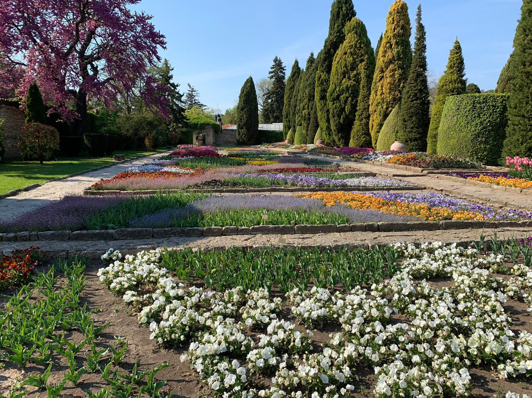 Botanical Garden