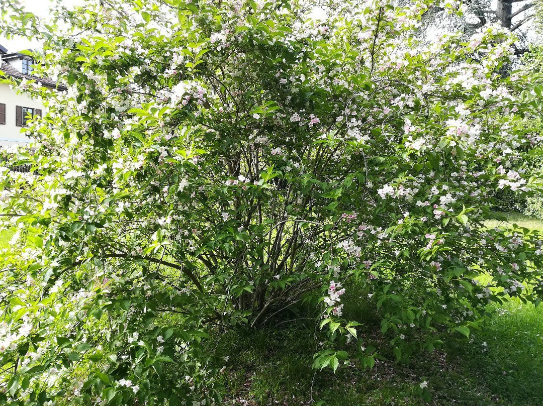 Giardino Botanico Colla-里沃利必去景点