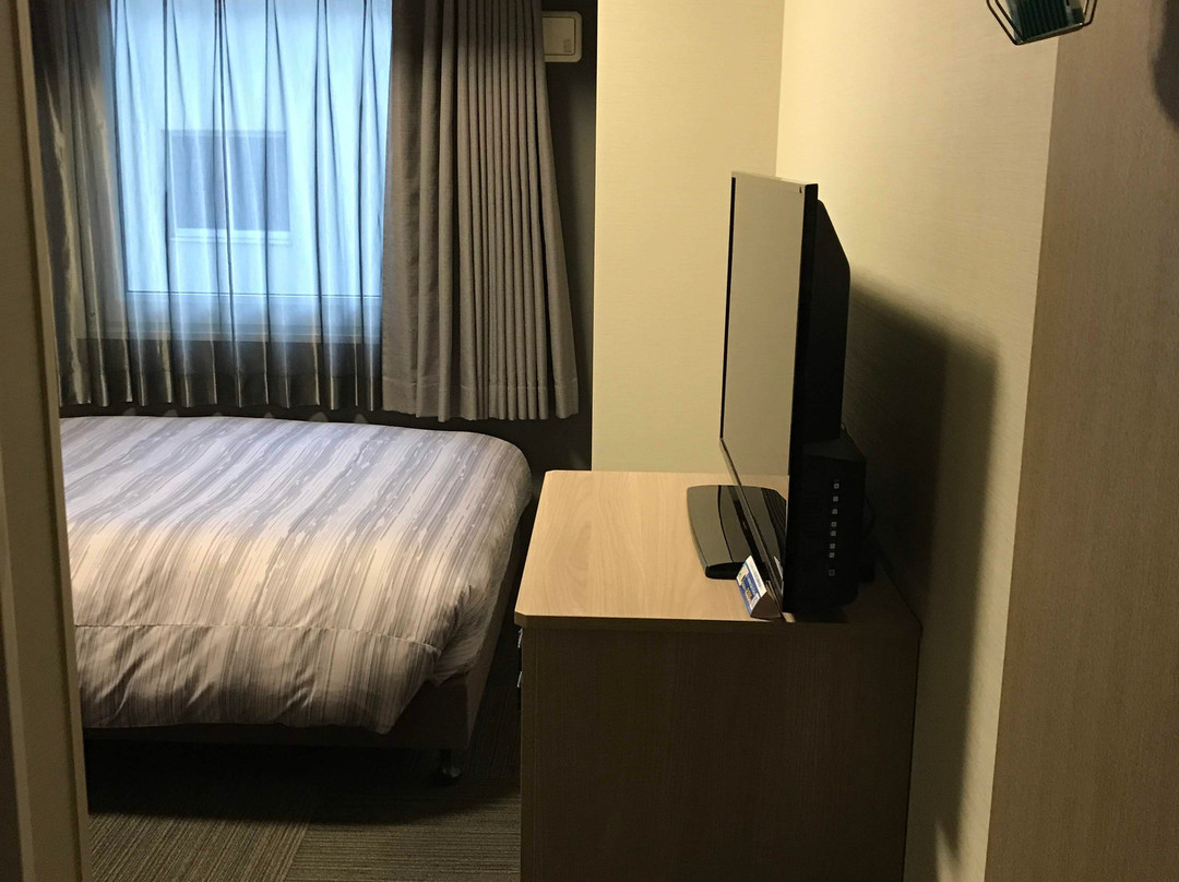 Hotel Route-Inn Tokyo Kamata主图