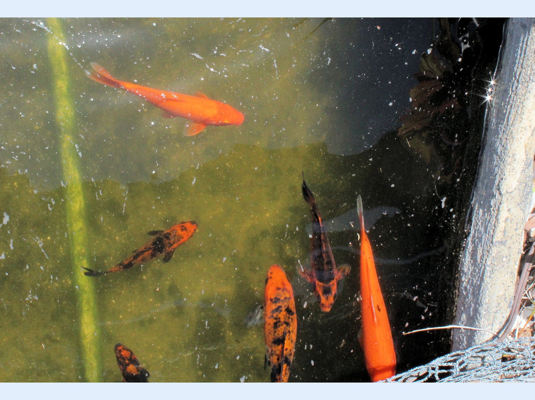 The Sea Hagg-Cortez必去景点