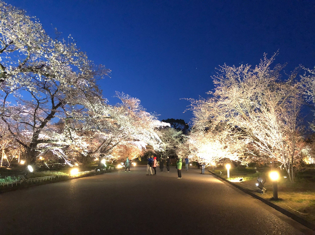 京都府立植物园景点图片