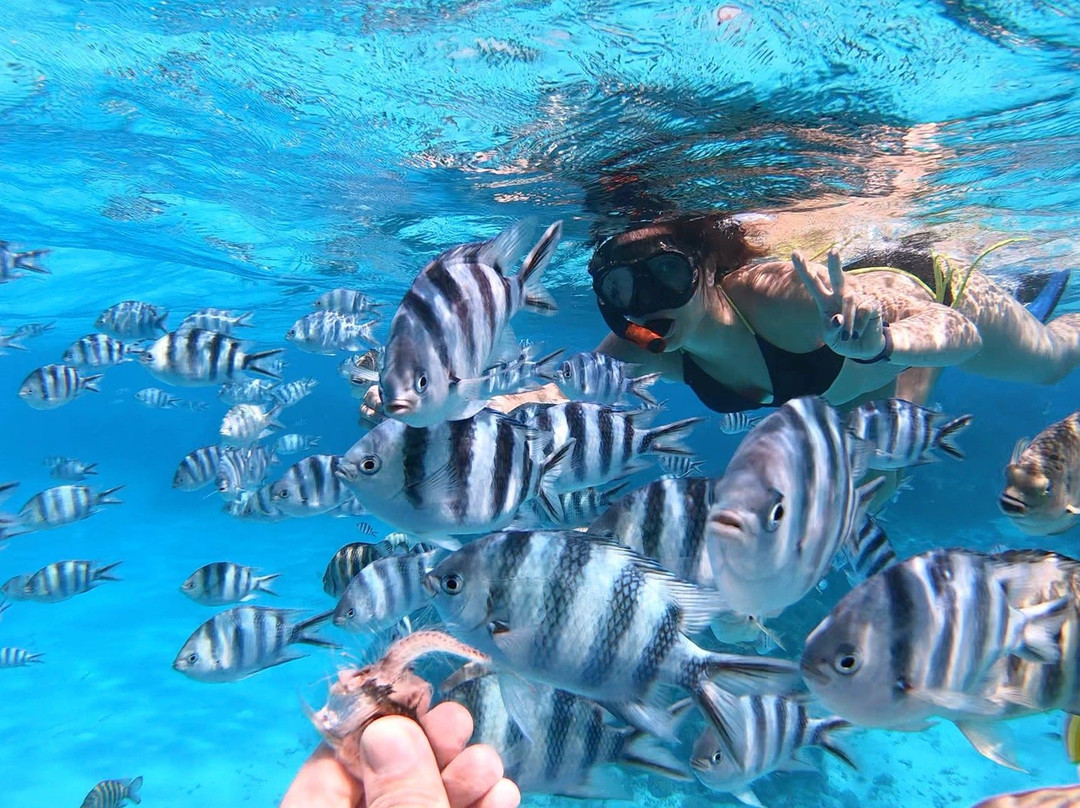 Tamatoa Excursion Borabora-波拉波拉岛必去景点