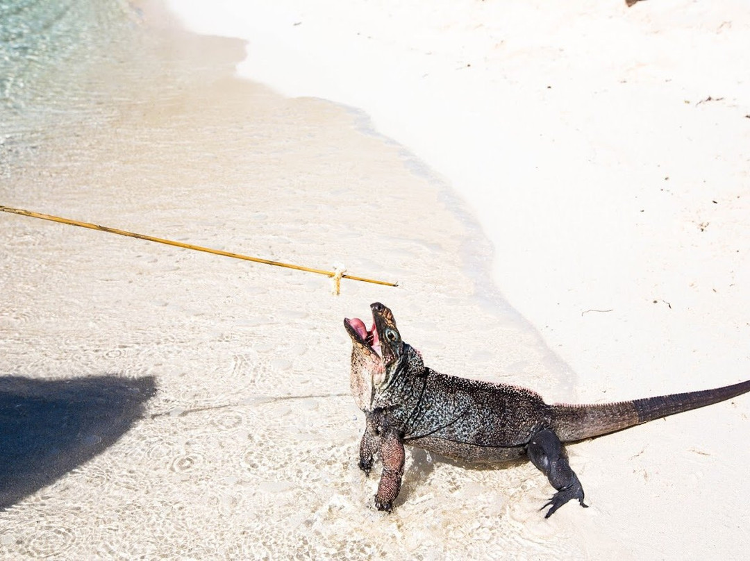 Live Good Adventures-George Town必去景点