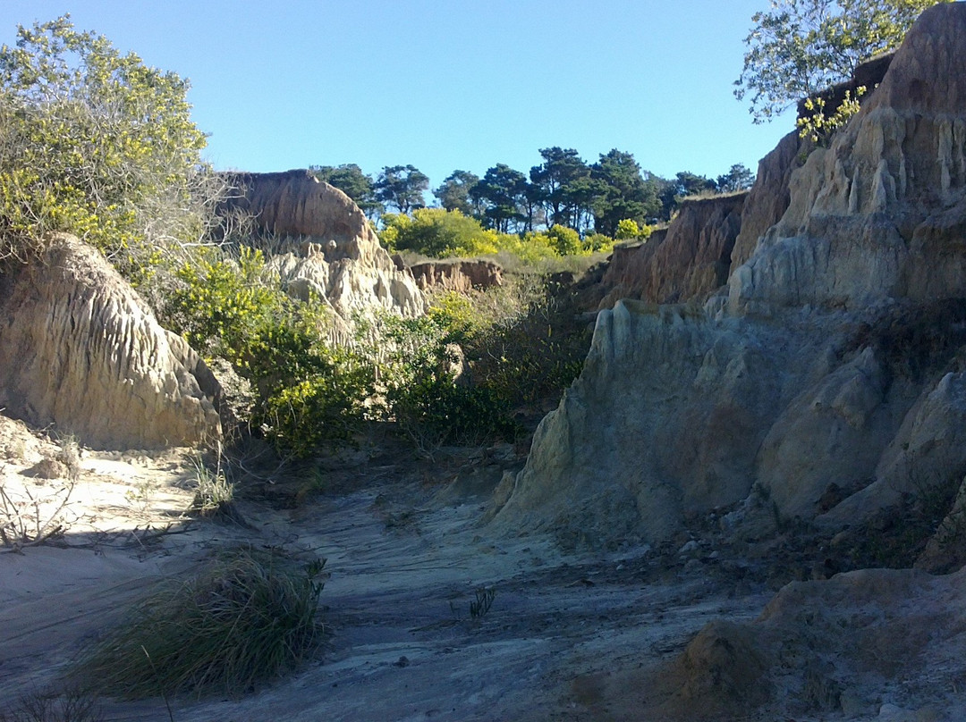 Rocha Department旅游攻略图片