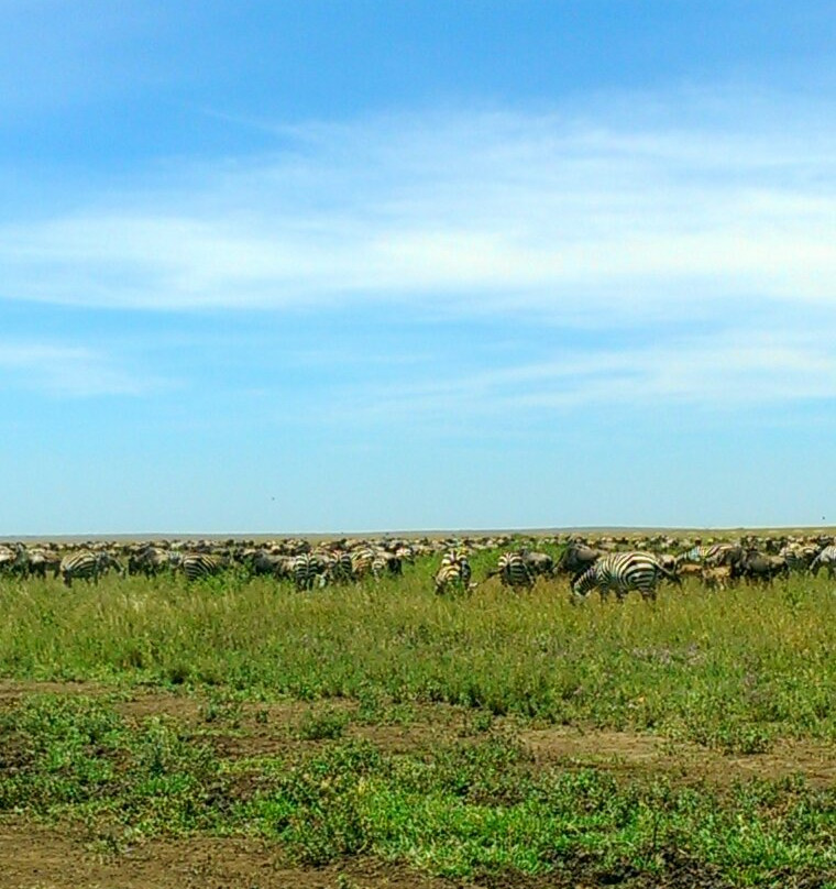 Ndutu Lake景点图片