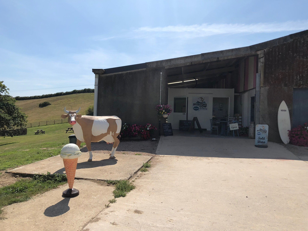 Yealmpton旅游景点-Surfing Cow Gelato