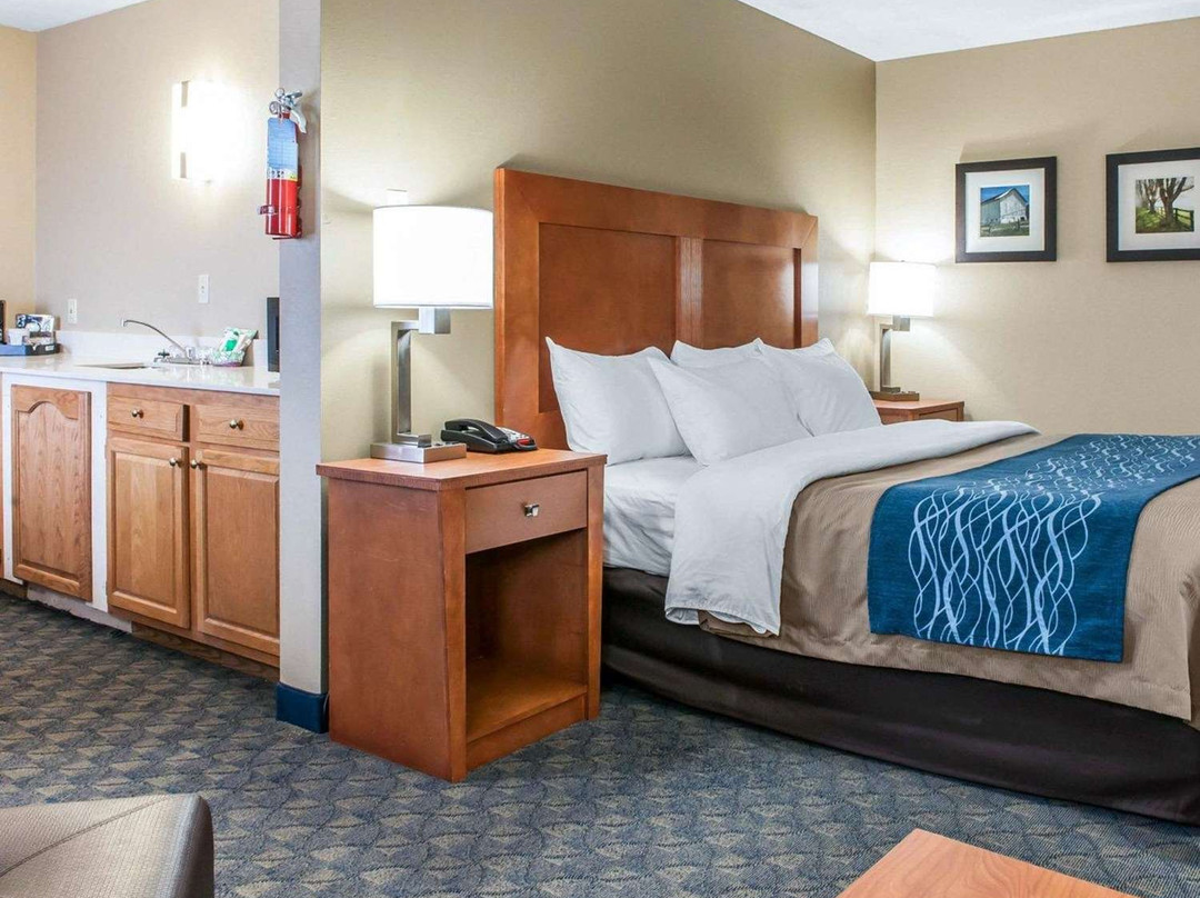 Comfort Inn & Suites主图