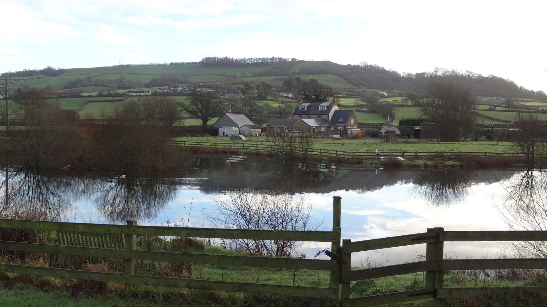 Spillers Farm-官方