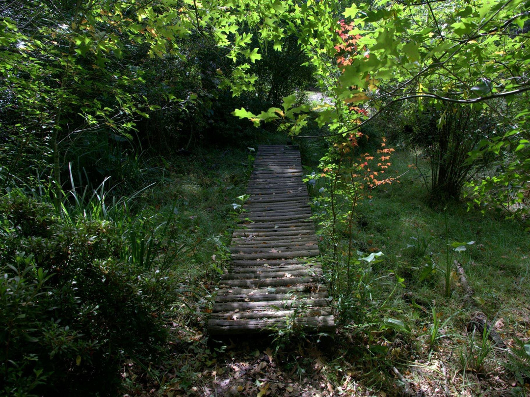 Hogsback Arboretum-Hogsback必去景点