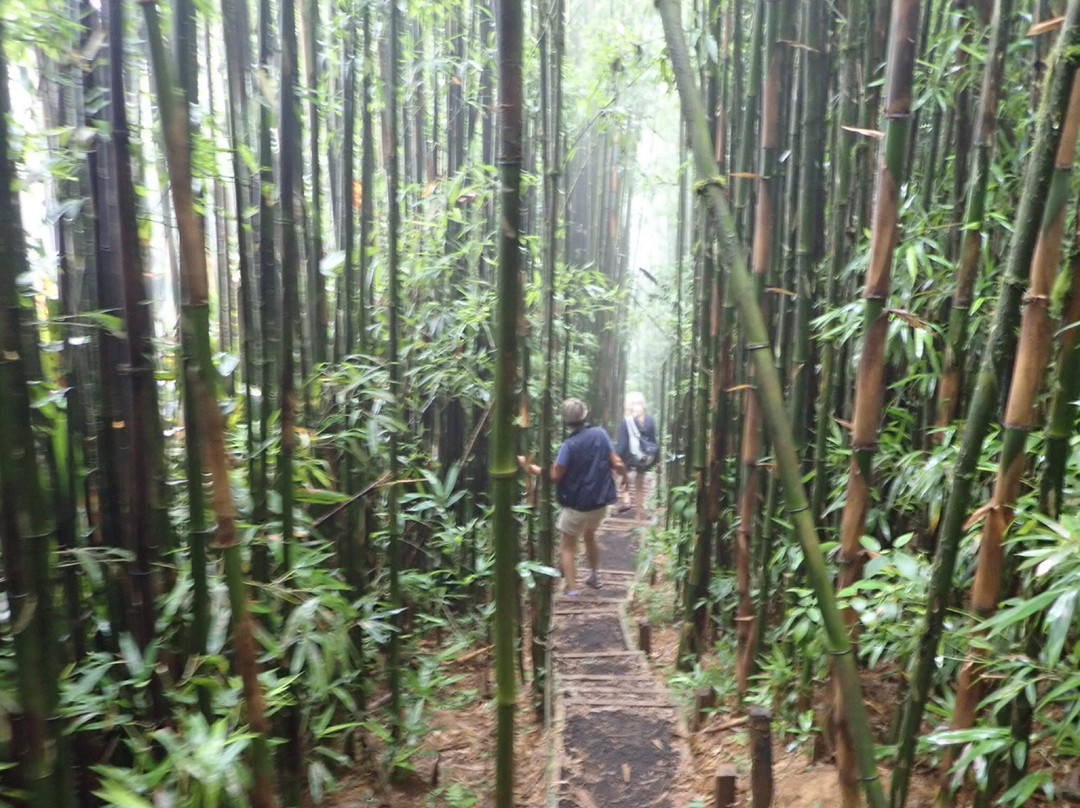 Dew Pond-Ascension Island必去景点