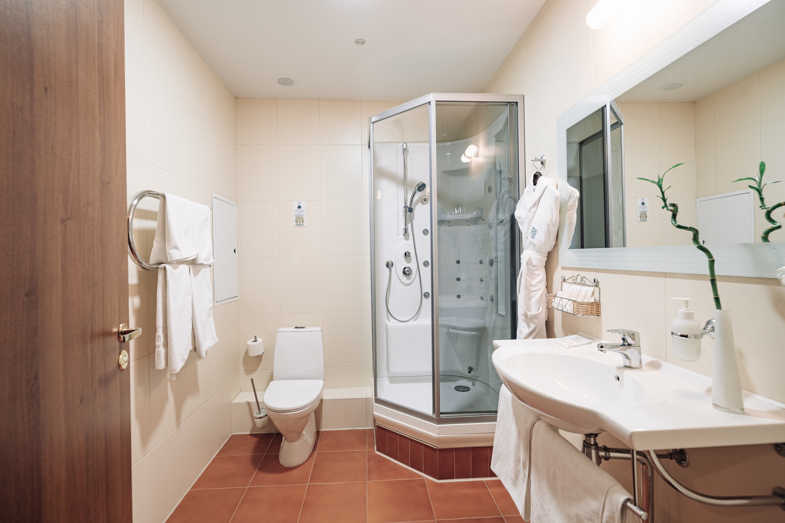 Russian Seasons Comfort Hotel Porechye-浴室