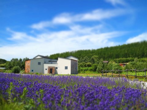 Auberge erba stella-官方