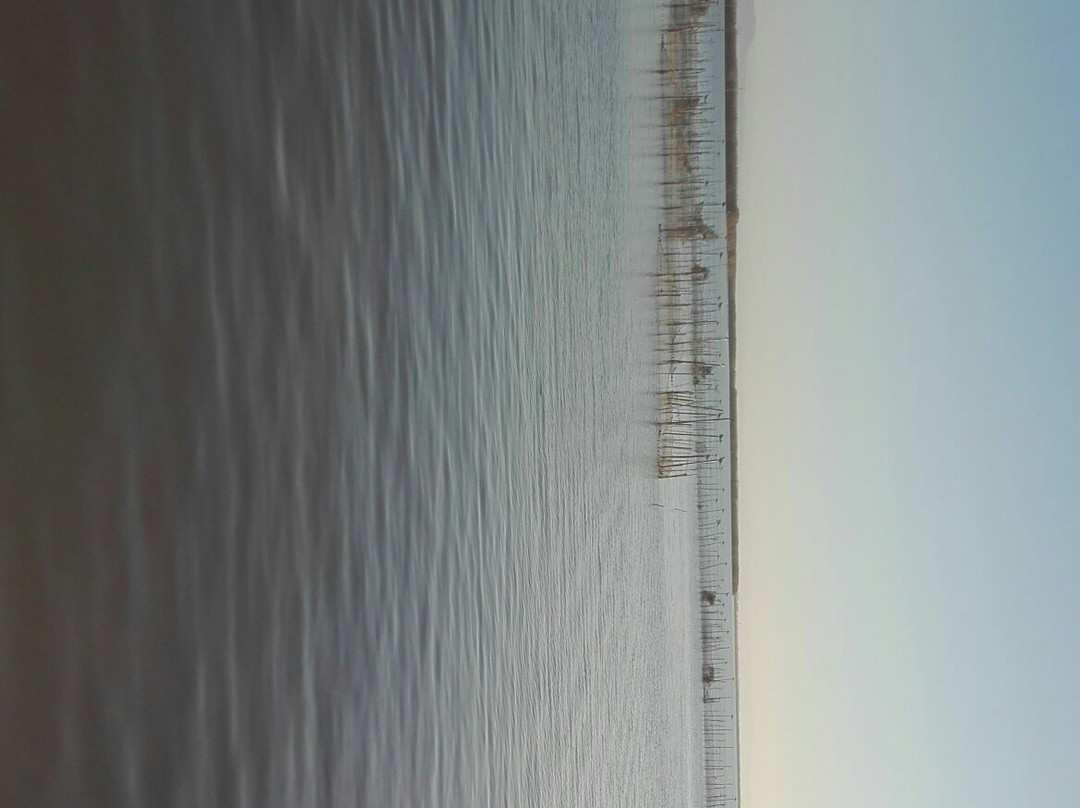 Albufera Parc-巴伦西亚必去景点