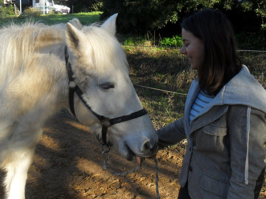 PeripetiaHorses-Chrani必去景点