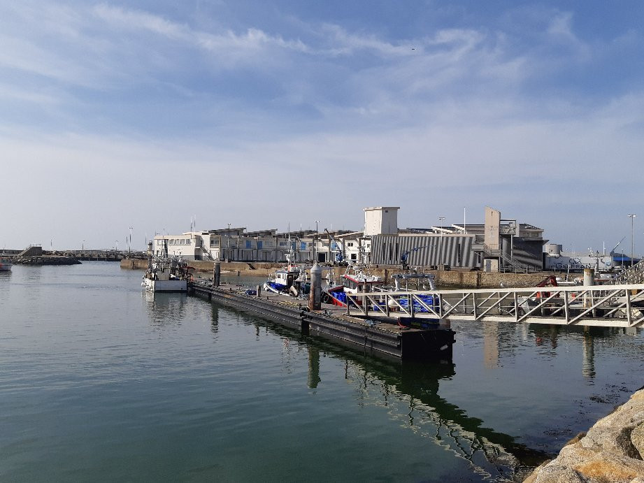 Mesquer-Quimiac旅游景点-Port de la Turballe
