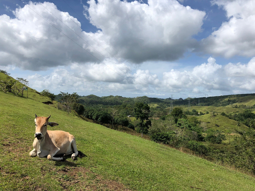 Hilltop 360 View Park-卡门必去景点