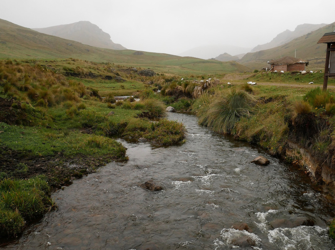 Lakes of Ozogoche (Lagunas de Ozogoche)-Riobamba必去景点
